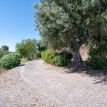 TENUTA DI CAMPAGNA CON ABITAZIONI, MAGAZZINI, AUTORIMESSE E TERRENO RIF. V/150
