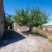 TENUTA DI CAMPAGNA CON ABITAZIONI, MAGAZZINI, AUTORIMESSE E TERRENO RIF. V/150