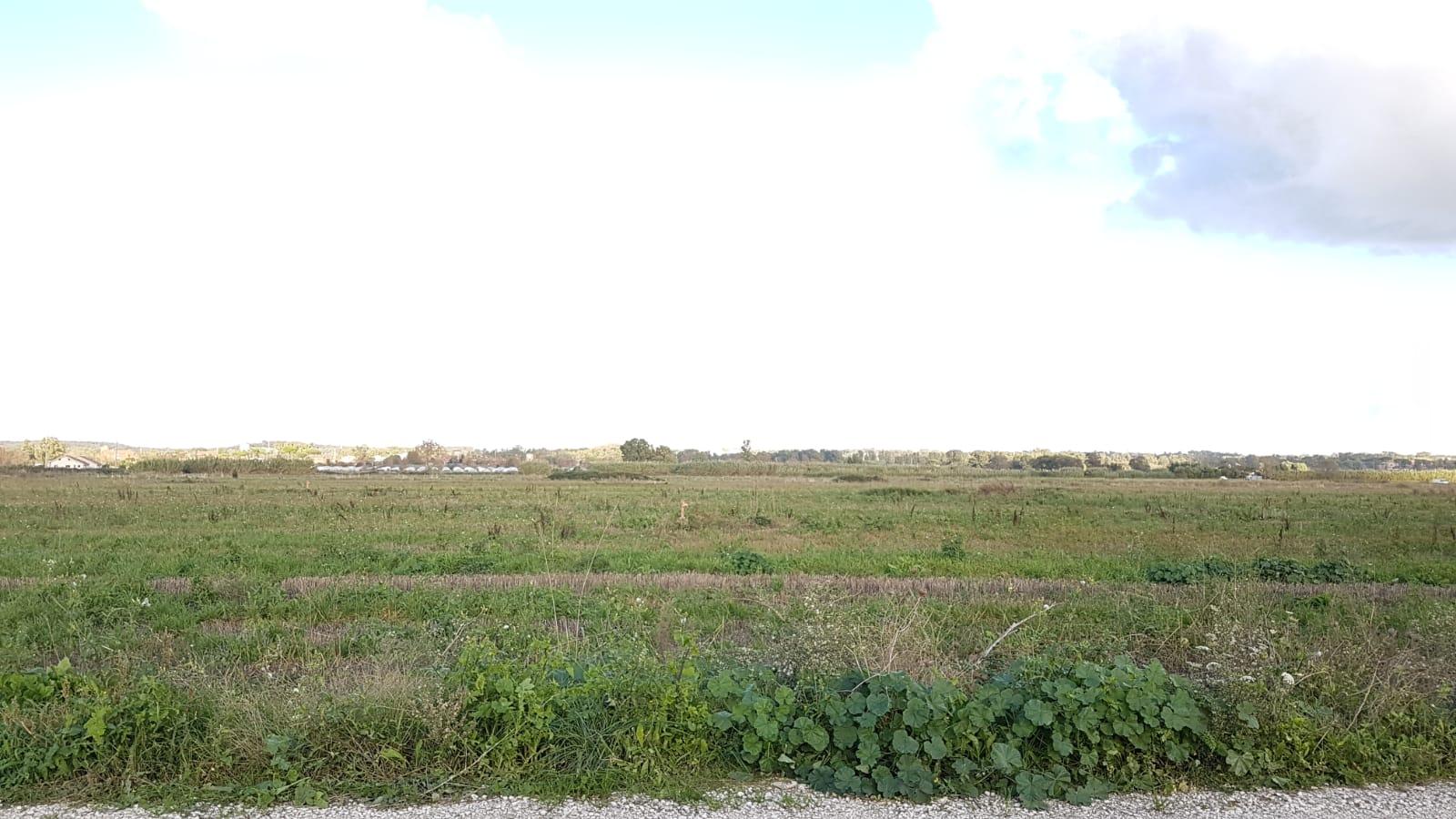 MACCARESE VENDESI TERRENO AGRICOLO SEMINATIVO E PIANEGGIANTE rif. V/9