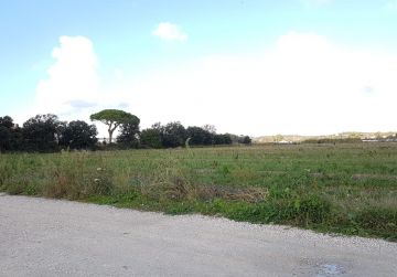 MACCARESE VENDESI TERRENO AGRICOLO SEMINATIVO E PIANEGGIANTE rif. V/9