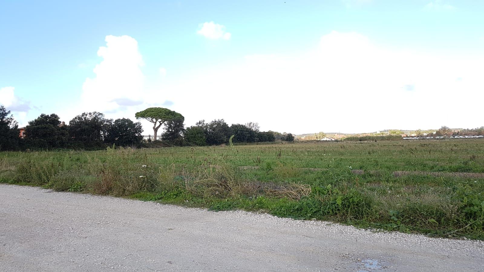 MACCARESE VENDESI TERRENO AGRICOLO SEMINATIVO E PIANEGGIANTE rif. V/9